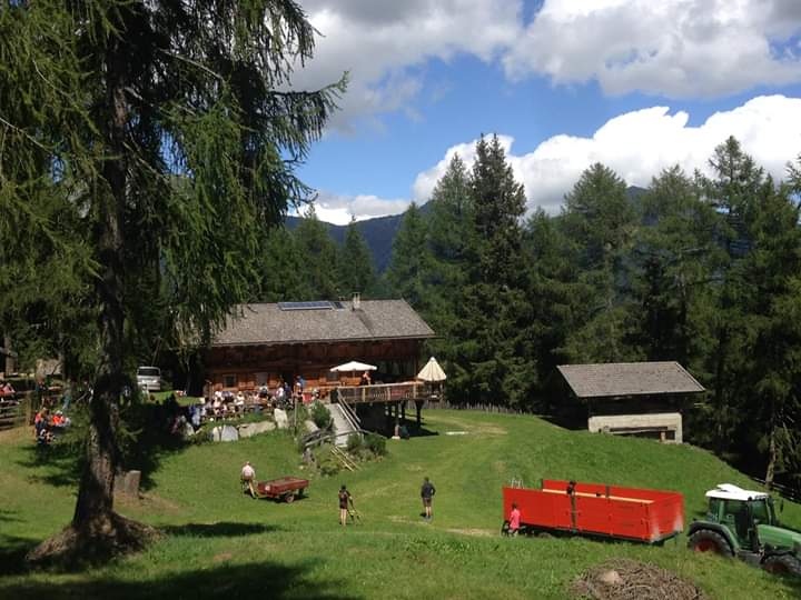 Grillen_spinges